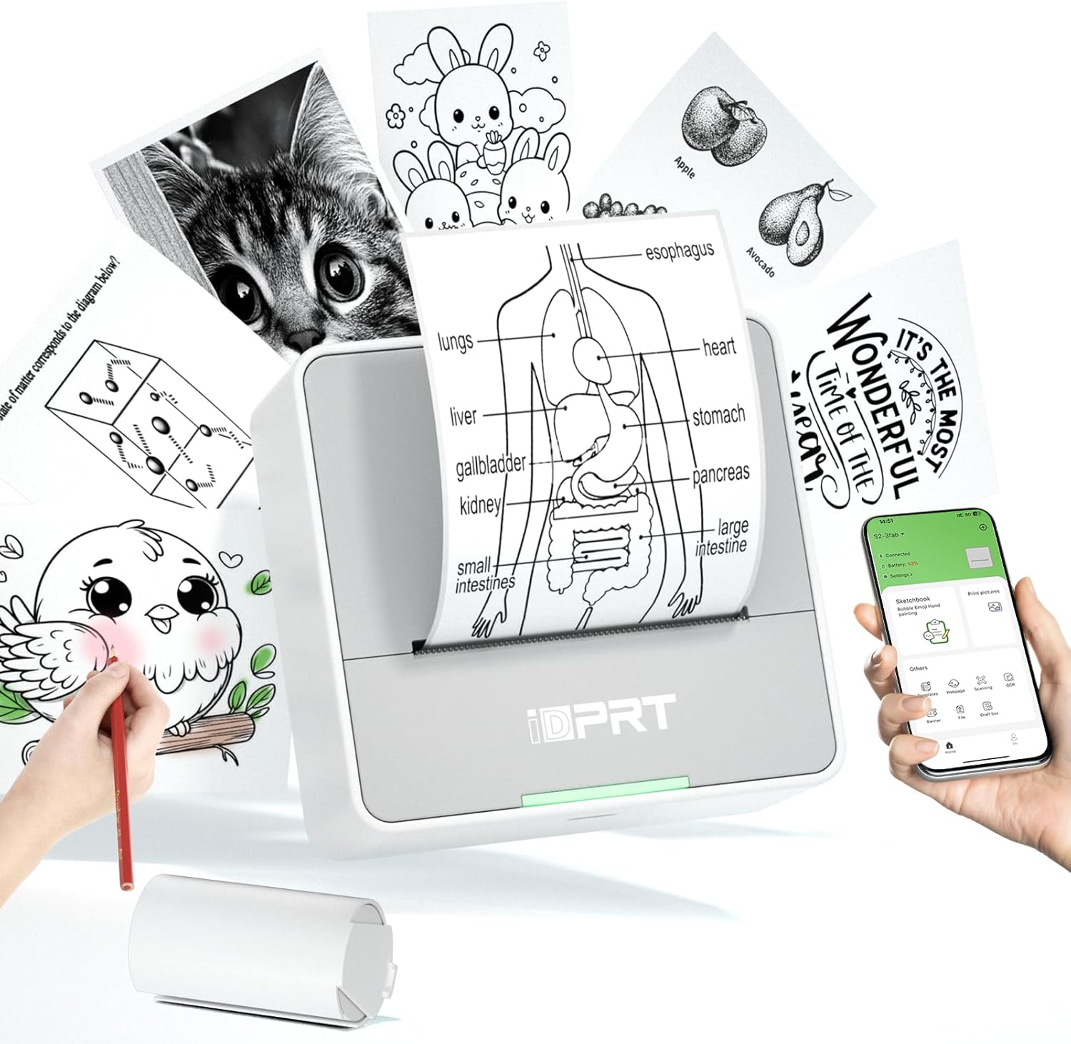 Sticker Label Template - Mini Printer with 1 Roll Sticker