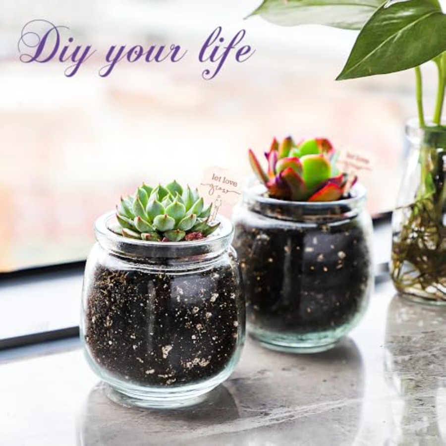 40 Pack Small Glass Jars with  - Candle Supplies Glass Jars บทวิจารณ์และราคา